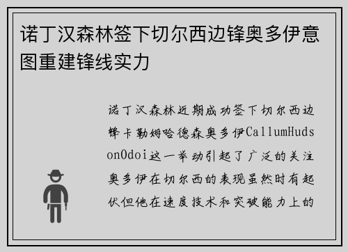 诺丁汉森林签下切尔西边锋奥多伊意图重建锋线实力